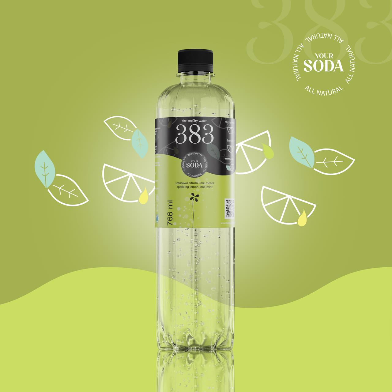 383 THE KOPJARY WATER lemon-lime-mint flavored, carbonated, 766 ml