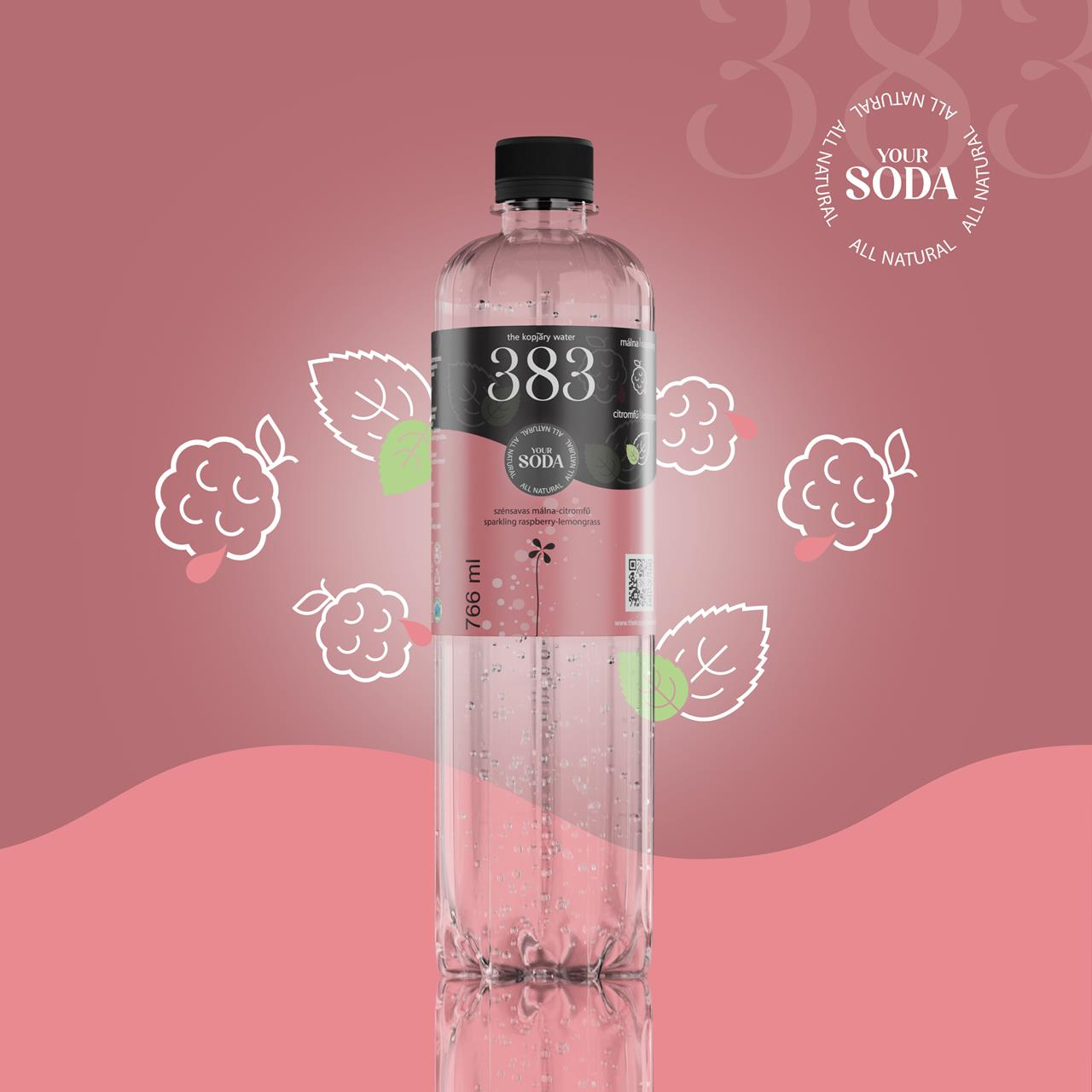 383 THE KOPJARY WATER raspberry-lemongrass flavored, carbonated, 766 ml